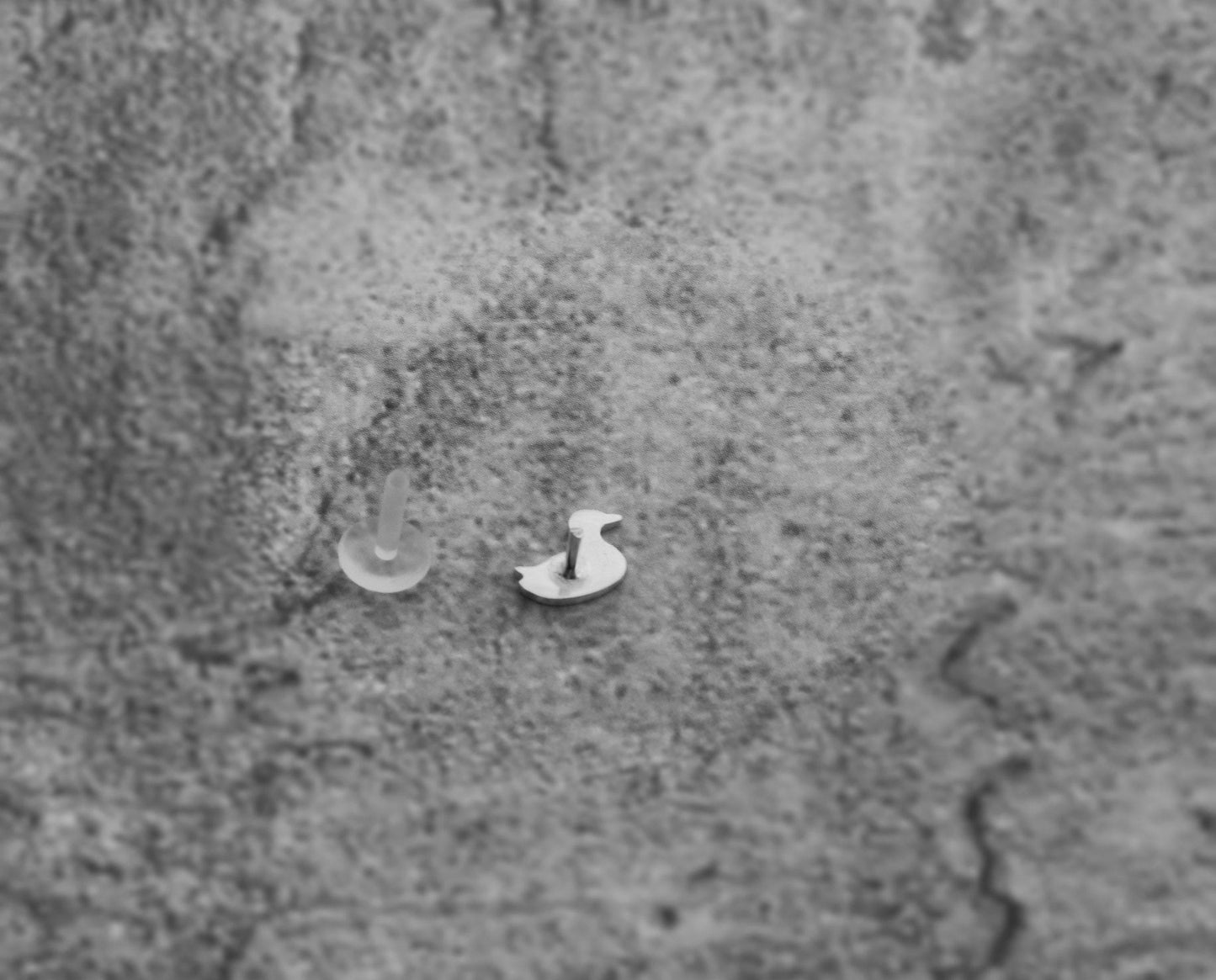 7 mm Small Duck Tragus Stud - Sweet November Jewelry